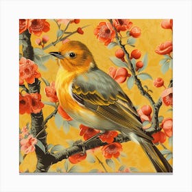 Chinese Robin Canvas Print