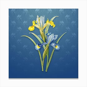 Vintage Spanish Iris Botanical on Bahama Blue Pattern n.2334 Canvas Print