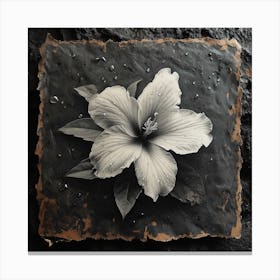 Oneeline42 A Rare Singularity Starflower Bloom In Heartbreak 3 Canvas Print