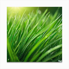 Grass Wallpaper Canvas Print