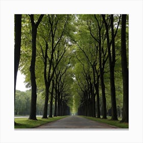 Avenue Of Trees Metal Print Canvas Print