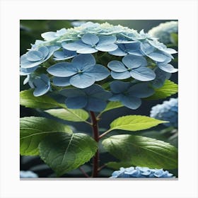 Hydrangea 1 Canvas Print