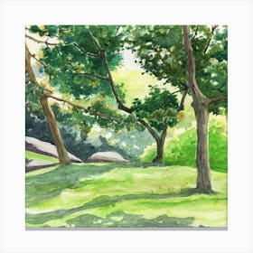 Trees In The Park Canvas Print