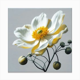 White jasmine Flower Canvas Print