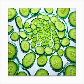 Cucumber Slices On A White Background Canvas Print