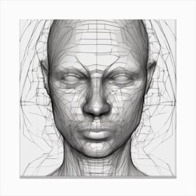 3d Head Drawing Canvas Print