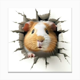 Guinea Pig 29 Canvas Print