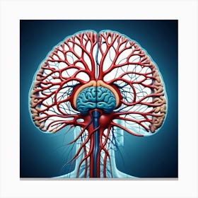 Blood Vessels In The Brain 4 Canvas Print