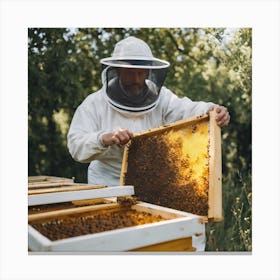 Beekeeper Inspecting Beehives Canvas Print