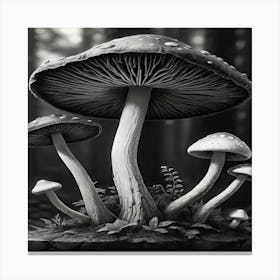 Black And White Mushroom Painting 1 Canvas Print