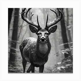 Deer In The Woods 83 Canvas Print