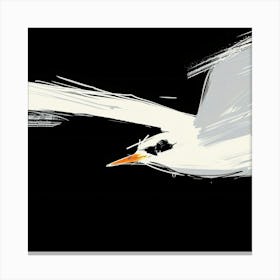 White Tern Canvas Print