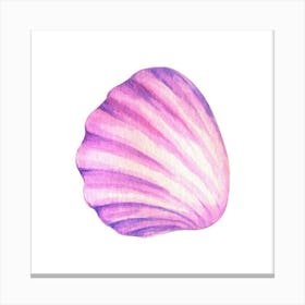 Pink Seashell Canvas Print