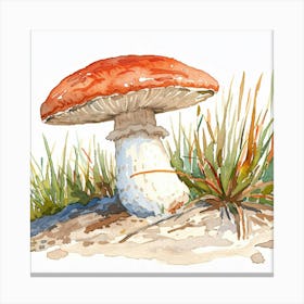 Red Mushroom In The Grass Canvas Print