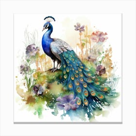 Peacock 1 Canvas Print