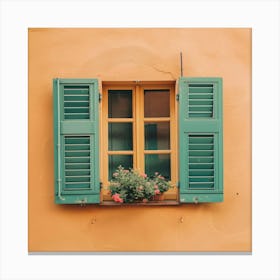 Window 12 Canvas Print