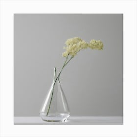 Flower In A Vase Canvas Print