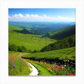 Path In The Mountains Canvas Print