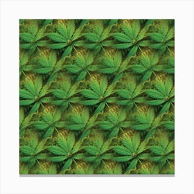 Marijuana Leaf Pattern 1 Canvas Print
