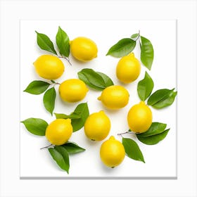 Lemons 1 Canvas Print