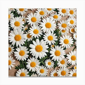 Daisy Bouquet Canvas Print