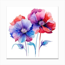 Watercolor Poppies 3 Canvas Print