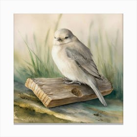 Sedge Warbler Canvas Print