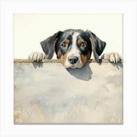 Bernese Mountain Dog 9 Canvas Print