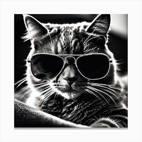 Cat In Sunglasses 14 Canvas Print