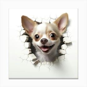 Chihuahua Dog Through The Hole Canvas Print