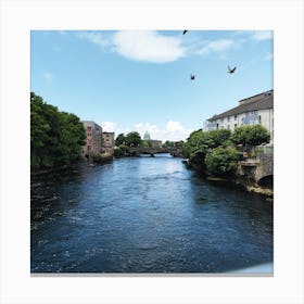 River Stour, Galway Canvas Print
