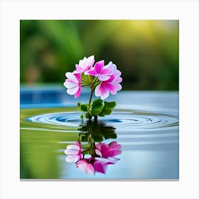 Pink Flower In Water Canvas Print