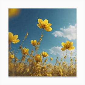 Field Of Yellow Flowers 32 Canvas Print