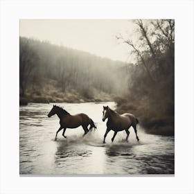 Horses In The River Canvas Print