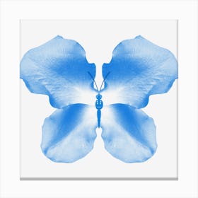 Blue Rose Petal Butterfly Canvas Print