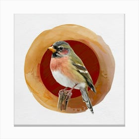 Bird In A Circle Canvas Print