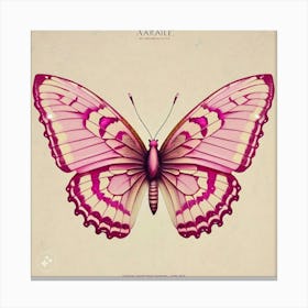 Asian Butterfly Canvas Print