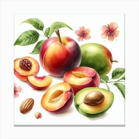 Fruit 9 Canvas Print