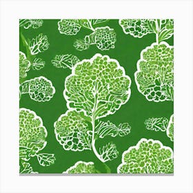 Green Cabbage Canvas Print