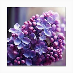 Purple Lilas Canvas Print