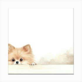 Pomeranian Dog 3 Canvas Print