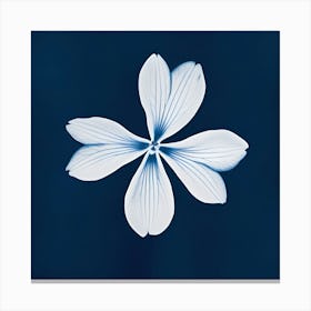 Flower On A Blue Background 1 Canvas Print