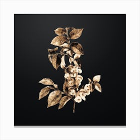 Gold Botanical Field Elm on Wrought Iron Black n.2657 Canvas Print