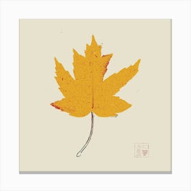 Maple Canvas Print