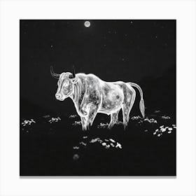 Bull At Night Canvas Print