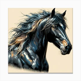 Black Horse Drawing Canvas Print