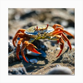 Crab On The Beach 1 Canvas Print