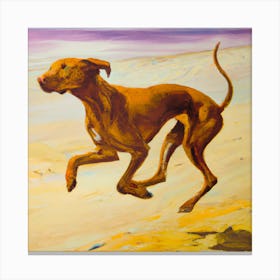 Dog Running On The Beach Canvas Print