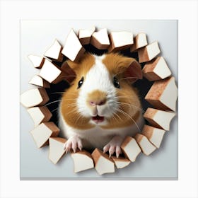 Guinea Pig 10 Canvas Print