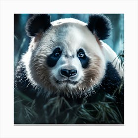 Panda Bear 13 Canvas Print